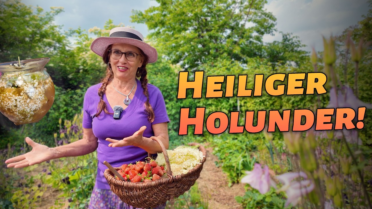 Holunderblüten-Pfannkuchen & Bowle: Elisabeets Sommergenuss mit wenig Zucker