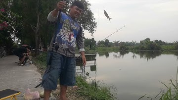 Trở lại trung đông 8 sau tết, ae câu cá rất đông vui #câu cá hóc môn