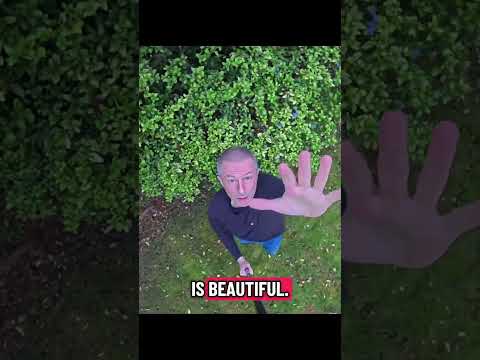 Mini Binnie Me Follow Your Heart 