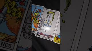 Celebrity Elizabeth Debicki Future Spouse Tarot Reading Wealth