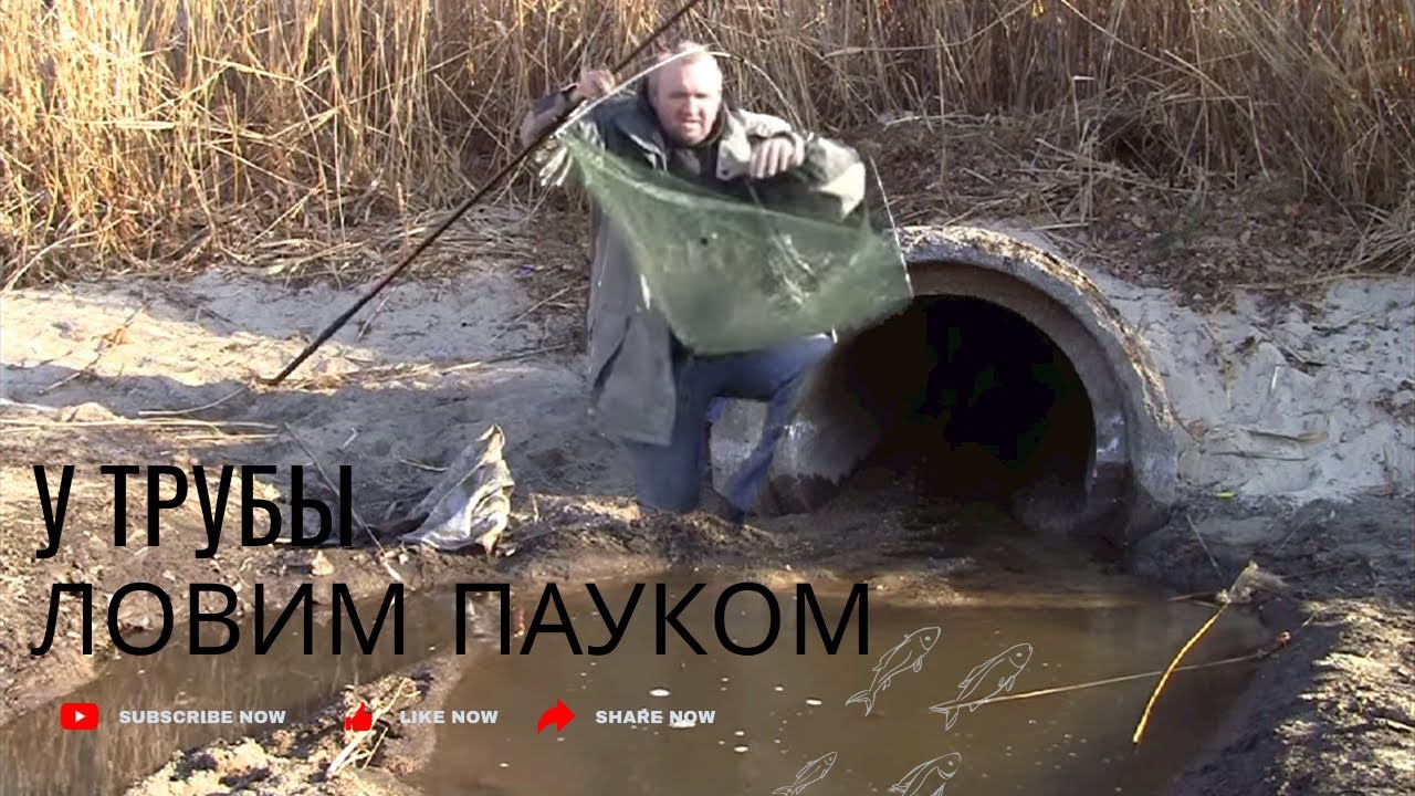Рыбалка. Паук. Труба. Рыба спасена. Запорожье март 23 г. - YouTube