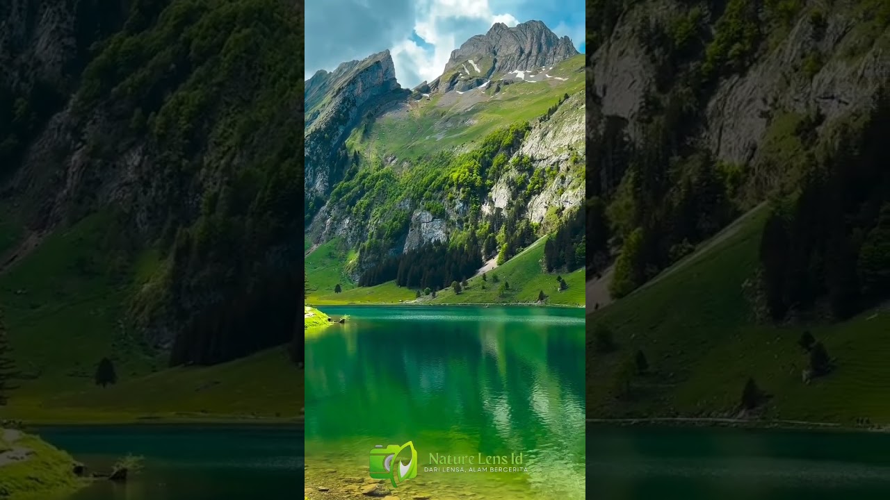 Switzerland 🇨🇭🏔️🌲