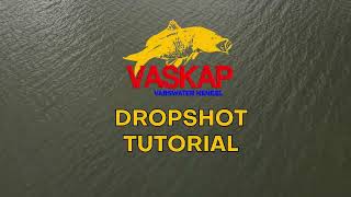 Dropshot Tutorial