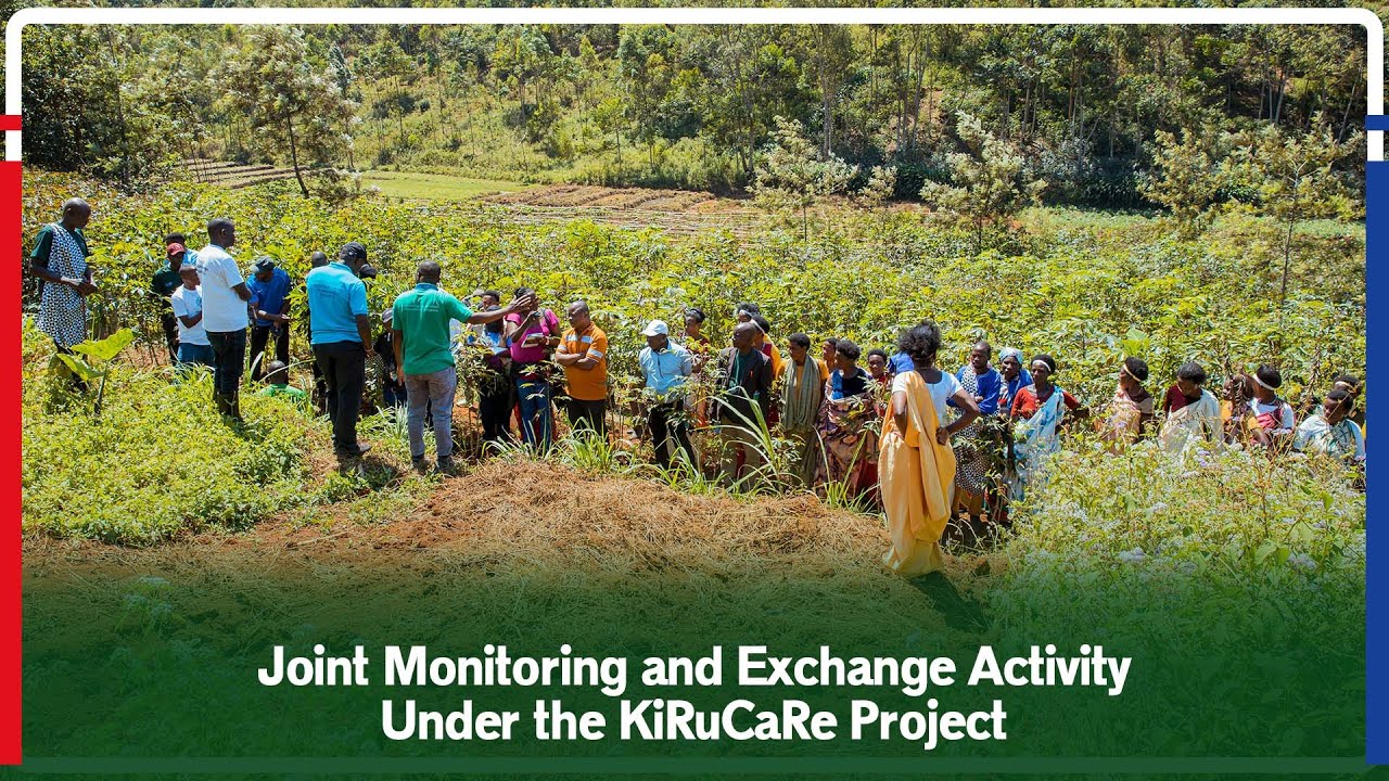 Joint Monitoring and Exchange Activity Under the KiRuCaRe Project