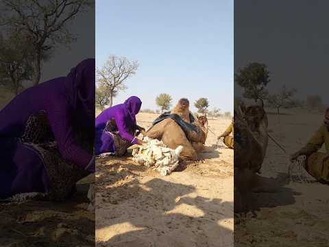 فحص دقيق واستخراج شيء من الداخل في مشهد منظ م بسارة توييكس