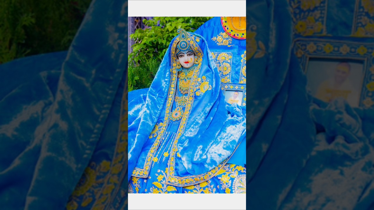 Radha Naam Dhun..🙏🪷🌱🦚|RadhaKrishna Status|Krishna Status|