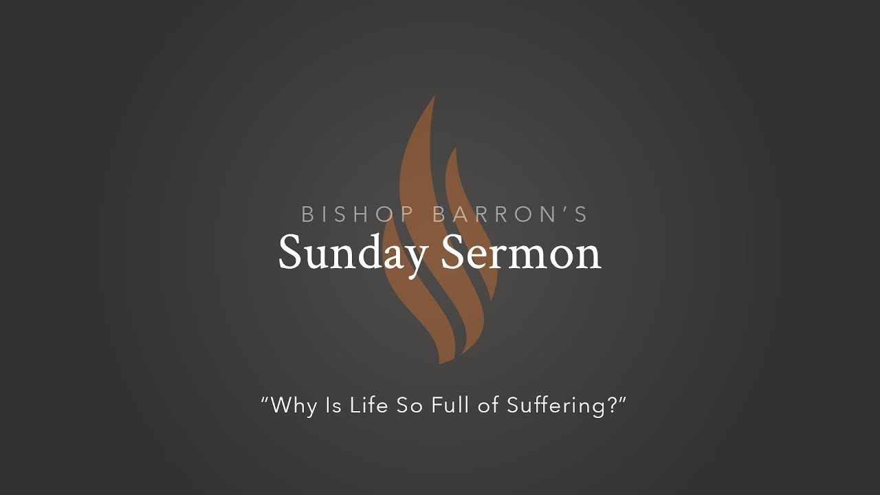 Why Is Life So Full of Suffering? — Bishop Robert Barron’s Sermon 2025