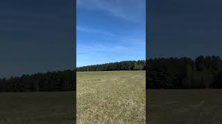 Electric Glider Performance Improvement Field Test