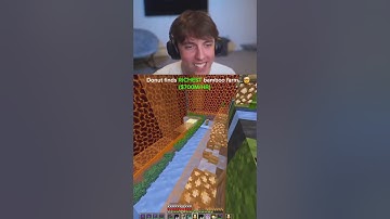 Insane bamboo farm....