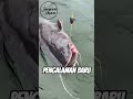 Apa yang paling kamu harapkan saat mancing