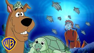 save turtles what s new scooby doo kidscartoons atwbkids