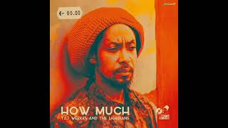 Taj Weekes \u0026 The Ligerians - How Much (SoulNurse Records) 【Dec 2025】