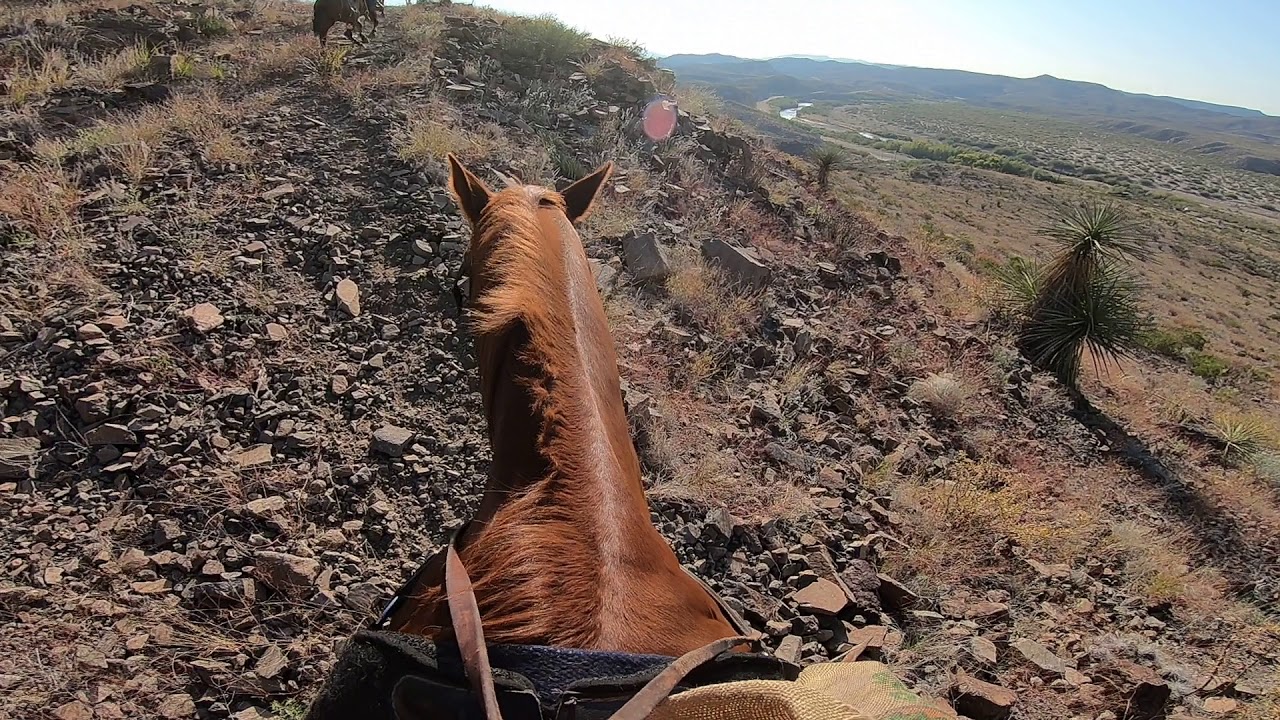 Horseback Riding in Big Bend State Park Texas YouTube
