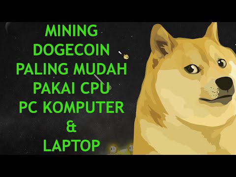 Video: Bude dogecoin niekedy porovnávaný s bitcoinom?