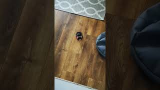 Celebrity Maqueen Plus V2. The robot doesn't drive straight, [all] motor direction [rotate forward] speed [30] Profile