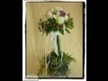 DIY Cómo hacer un topiario parte 1