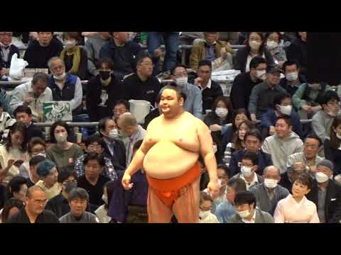 大翔鵬 vs 水戸龍【大相撲 令和5年 3月場所】中日  2023/3/19 臨場感ズーム！DAISHOHO  vs MITORYU  [Grand Sumo] 現地観戦 大阪場所