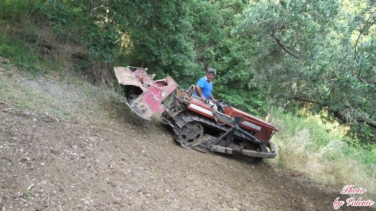 Lavori agricoli FiatAgri 72 85 con fresa tra gli ulivi FiatAgri72 85 withcutter amongthe olive trees