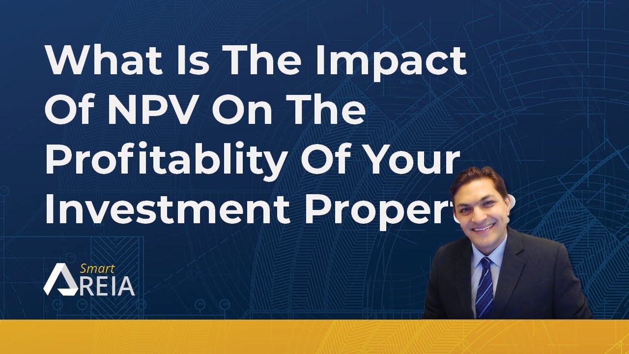 What Is The Impact Of Npv On The Profitablity Index Of Your Investment