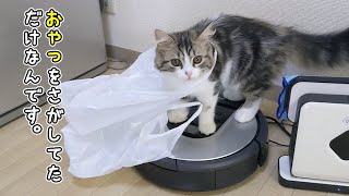 子猫が買い物袋を漁っていた結果…