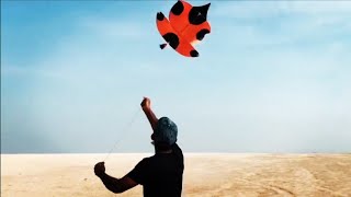 Patang Flight | Kite Fighting | Kite Flight | Kite Game screenshot 5
