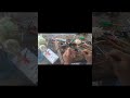 how to repair water pump motor# Tulu pump motor winding testing#