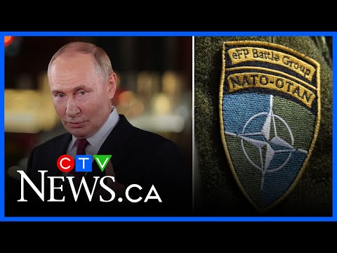 Putin ‘is the one making NATO stronger’ through conflict with Ukraine, expert says