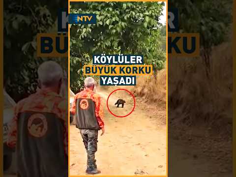 Tarlada Çalışan Köylüler, Gördükleri Şey ile Büyük Panik Yaşadı! #shorts #youtubeshorts #ntv