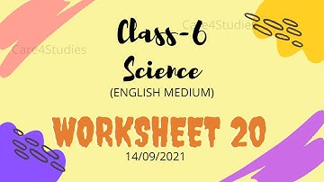 Science worksheet 20 (14/09/2021) | English Medium | DoE Worksheet | Class 6