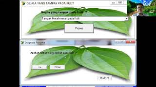 Pertemuan 11 - Sistem Pakar (Expert System)