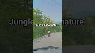 𝙅𝙪𝙣𝙜𝙡𝙚 𝙥𝙖𝙝𝙖𝙧 𝙣𝙖𝙩𝙪𝙧𝙚#forestlife #motivation #explore