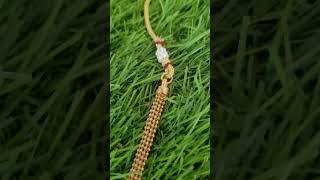 Traditional Coin Necklace. Comment for details #artificialjewellery #traditional #necklace #jewelry