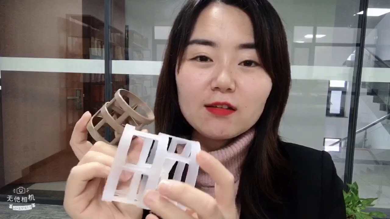 DIER PLASTIC PALL RING/vivian@pxdier.com/wa: +86 18979913293