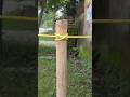 🔥 99% People Don’t Know This Strong Rope Knot 🪢 #diy #rope #knot #shorts #viral