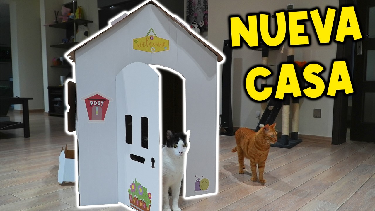 CONSTRUÍ UNA MANSIÓN DE CARTÓN PARA MIS MASCOTAS !!
