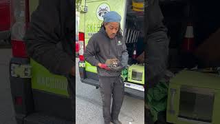 The Cutest Rescue You’ll See Today, Baby Raccoons! Skedaddle Maryland