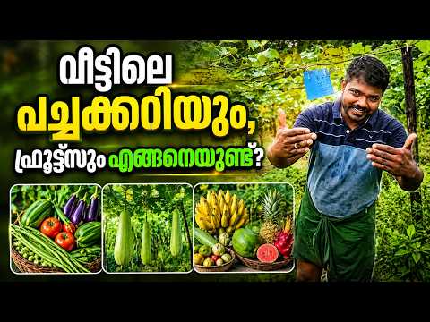 വീട്ടിലെ പച്ചക്കറിയും, ഫ്രൂട്ട്സും എങ്ങനെയുണ്ട്?