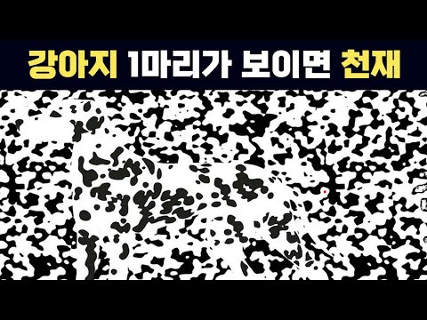 관찰력 천재들을 위한 숨은그림찾기 착시 문제.