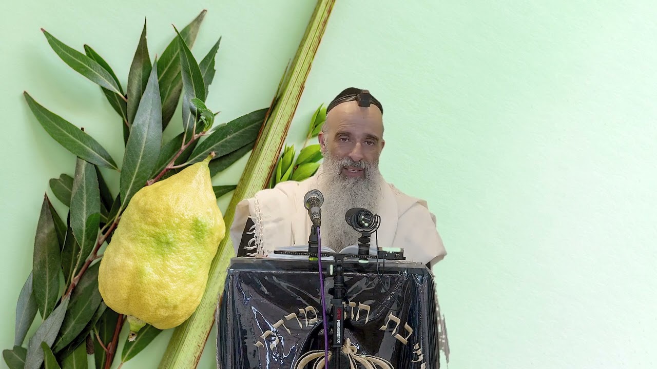 הרב מאיר דוד שמואלי - סגולה גדולה לחג הסוכות