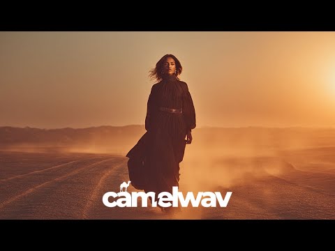 Tamer ElDerini Habibi 