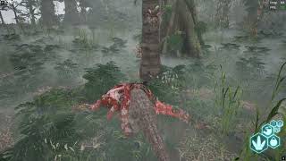 Dino Den Server Storage