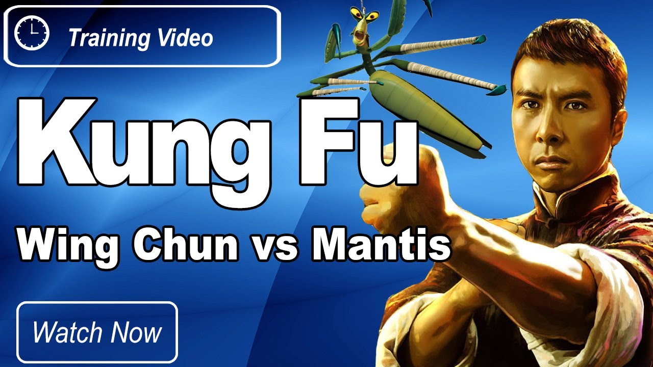 Praying Mantis vs Wing Chun 