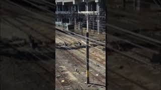 View from a Bridge in Japan 🇯🇵😳  駅の風景