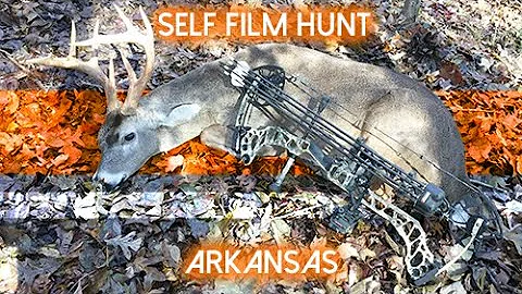 Public Land Self Film Bow Hunt