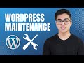 How to Maintain Your WordPress Website in 2023