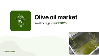 Olive Oil Market Weekly Digest W21