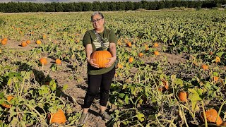 Pumpkin Patch| La union New Mexico.🌽🌾🌻🍂🍃🎃