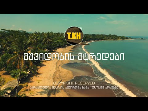 თემო ხვიბლიანი - მშვიდობის მტრედები | mshvidobis mtredebi