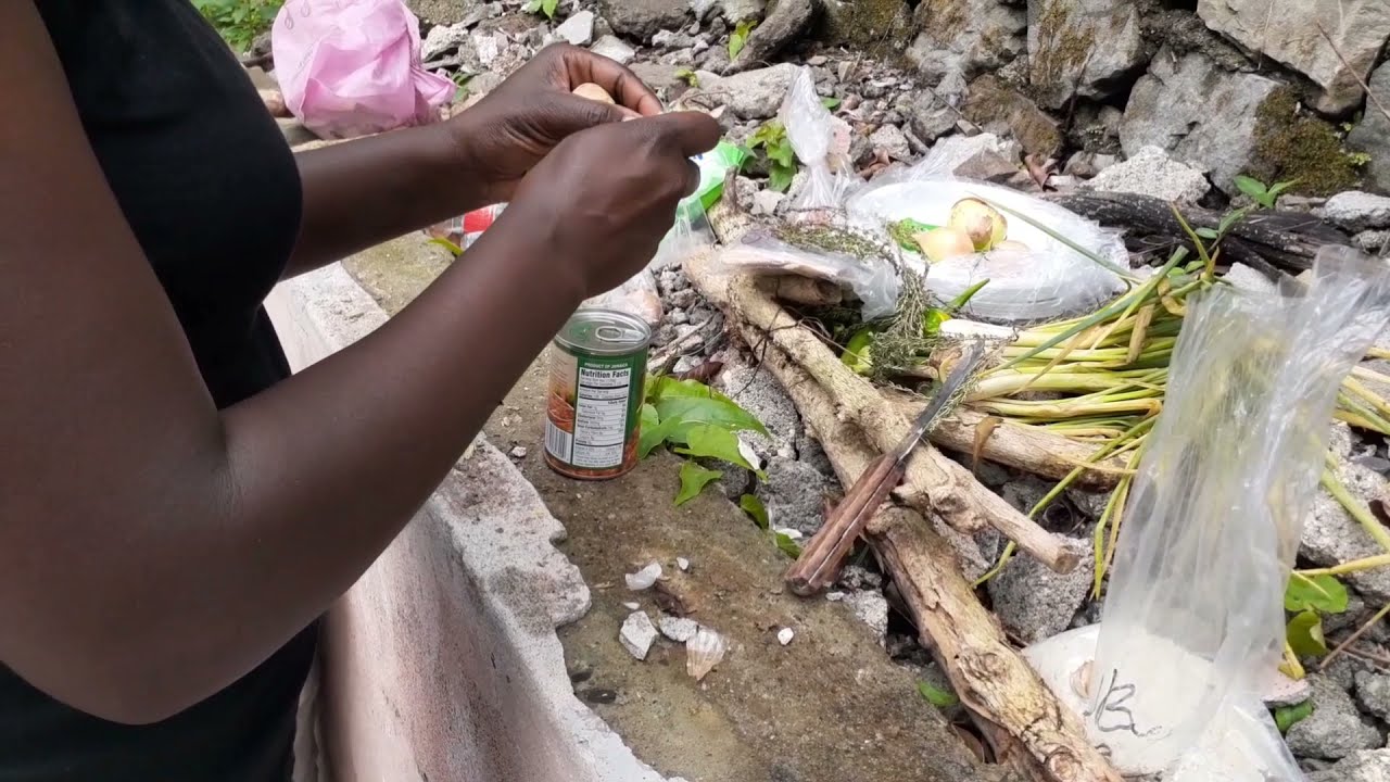 Gully Beans (Susumba) & Salt Fish with Plain Rice Jamaica Country