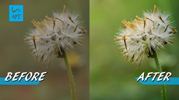 How to Give Life to a Nature Photograph, Photography Post Processing Photoshop Tutorial